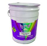 Spray Putty and Filler 2in1